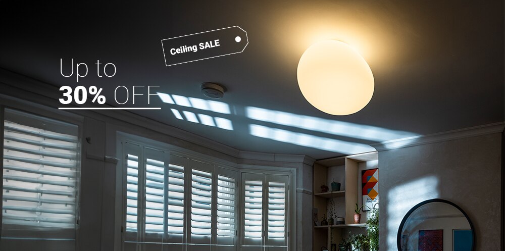 Ceiling Light Sale